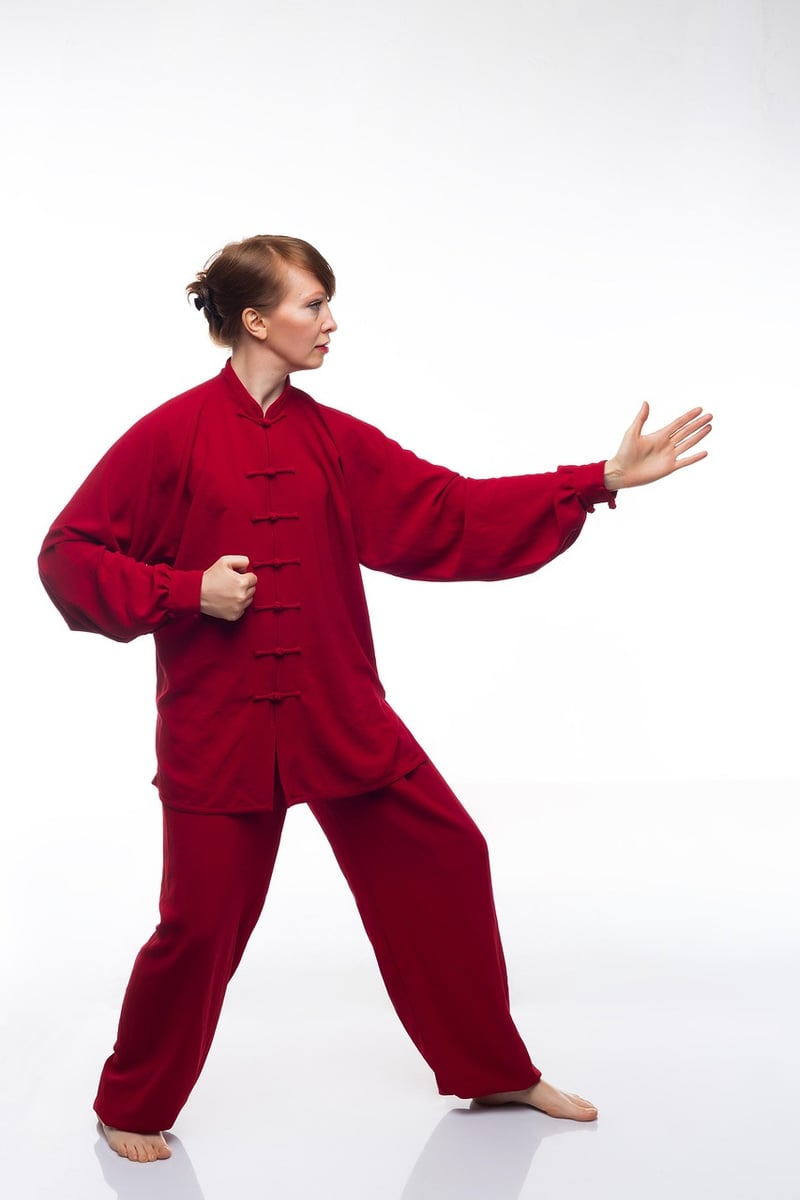 Chen Style Martial Arts